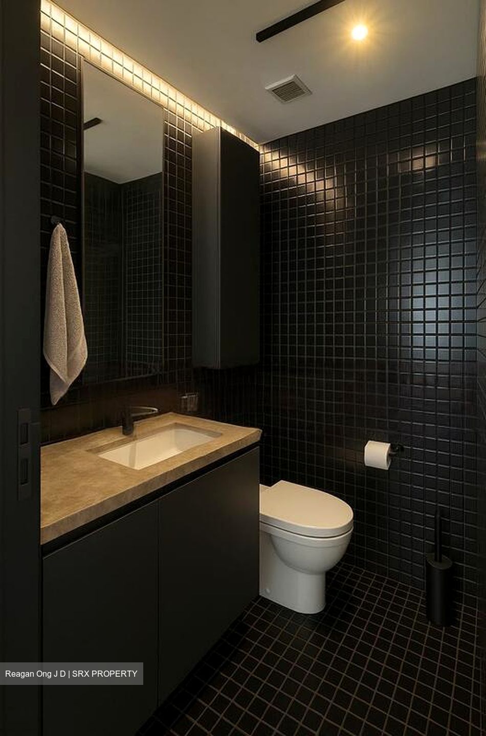 Skysuites@Anson (D2), Apartment #470477931